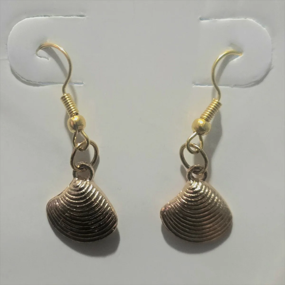 Aretes de concha