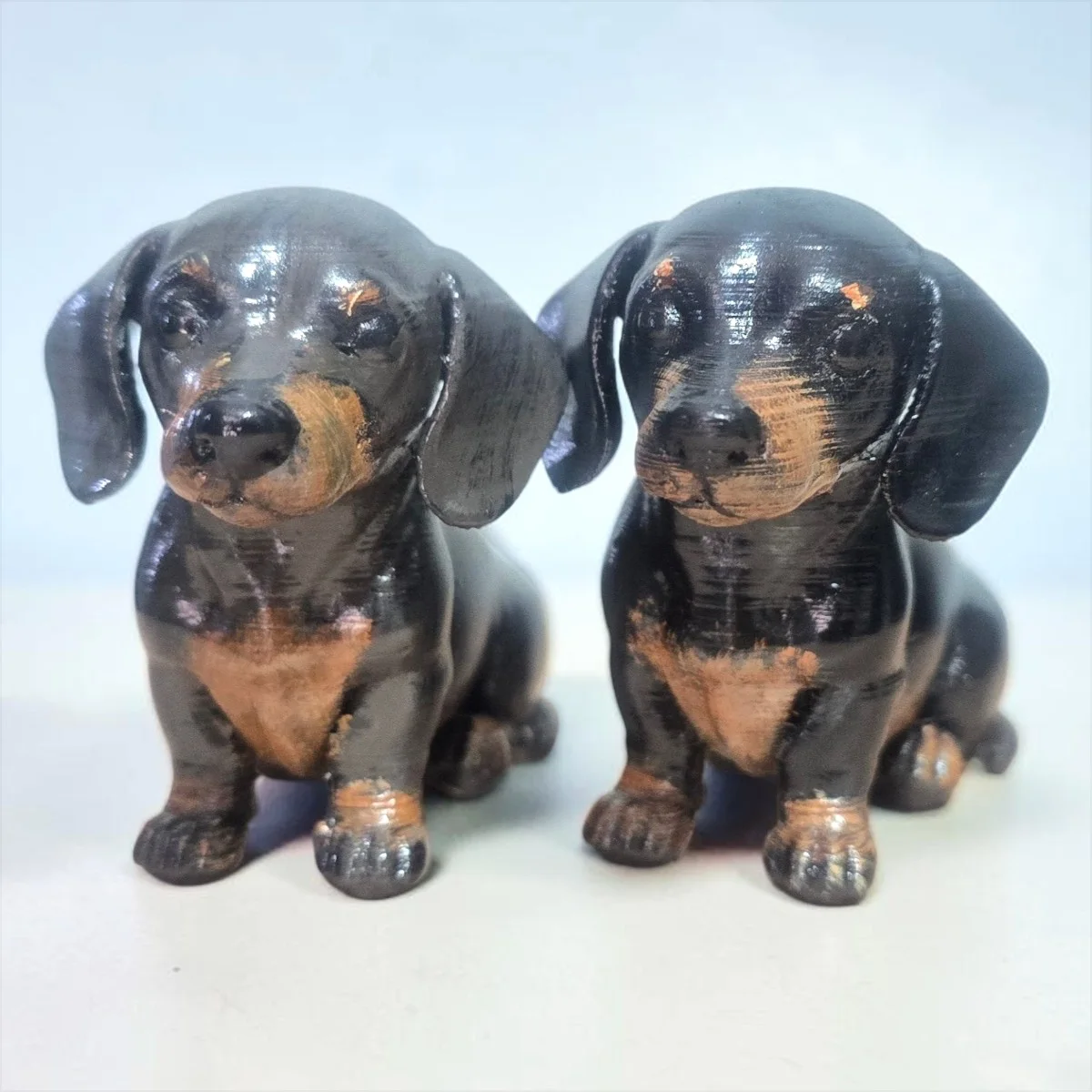 Perro salchicha cachoro
